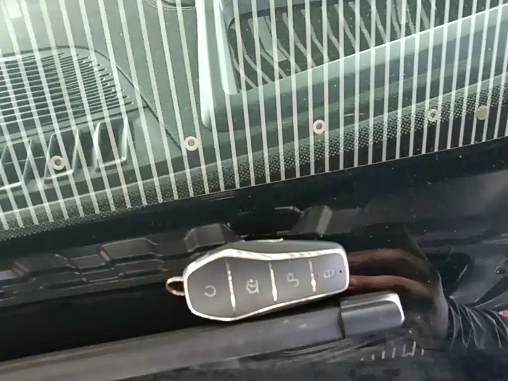 BYD Tang New Energy 2025 2025 Smart Driving Edition DM-i 115KM Flagship
