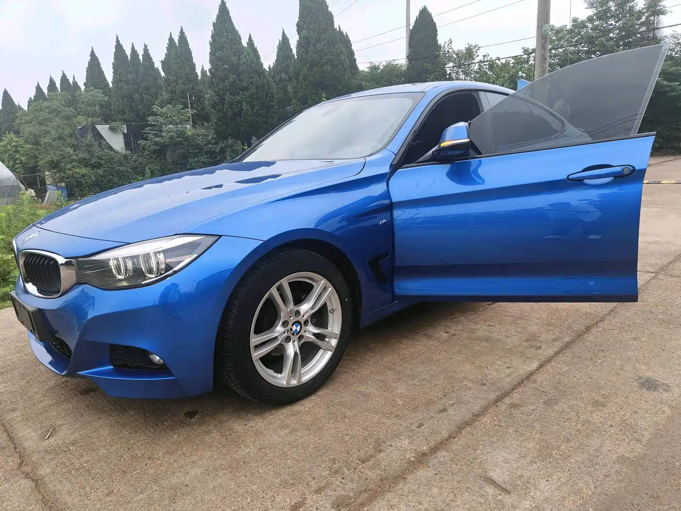 BMW 3 Series GT 2019 320i Fashion Model фото 2