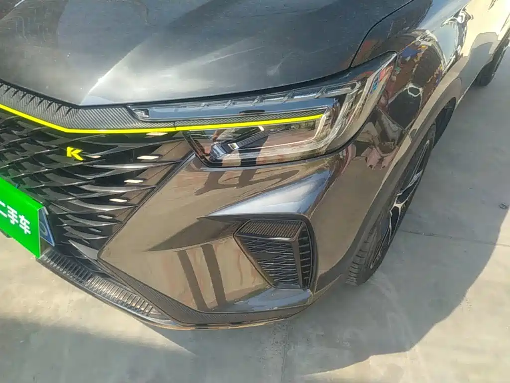 Фото 24 - Roewe RX5