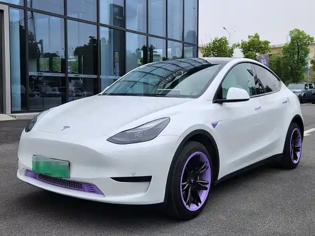 Tesla Model Y 2023 Rear-Wheel Drive Edition