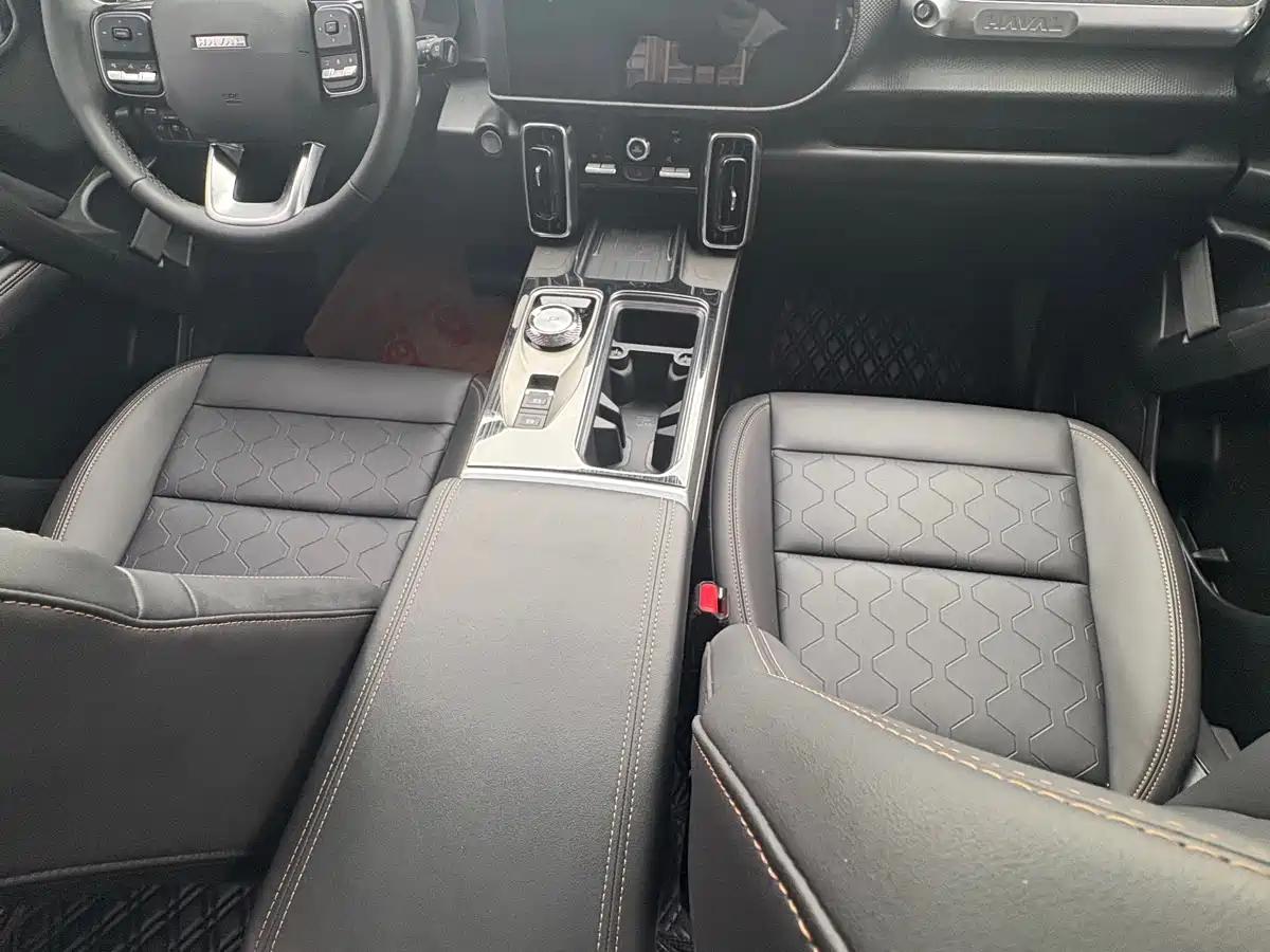 Haval Big Dog 2024 1.5T DCT Border Collie Edition фото 13