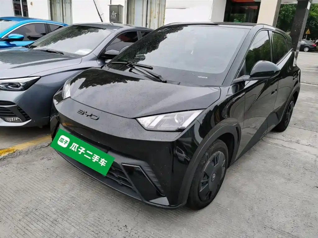 BYD Seagull 2023 Vitality Edition фото 2