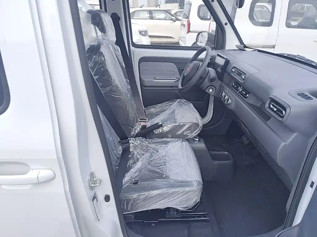Wuling Motors Wuling Zhiguang NEV 2026 2025 Model 305km Base Version