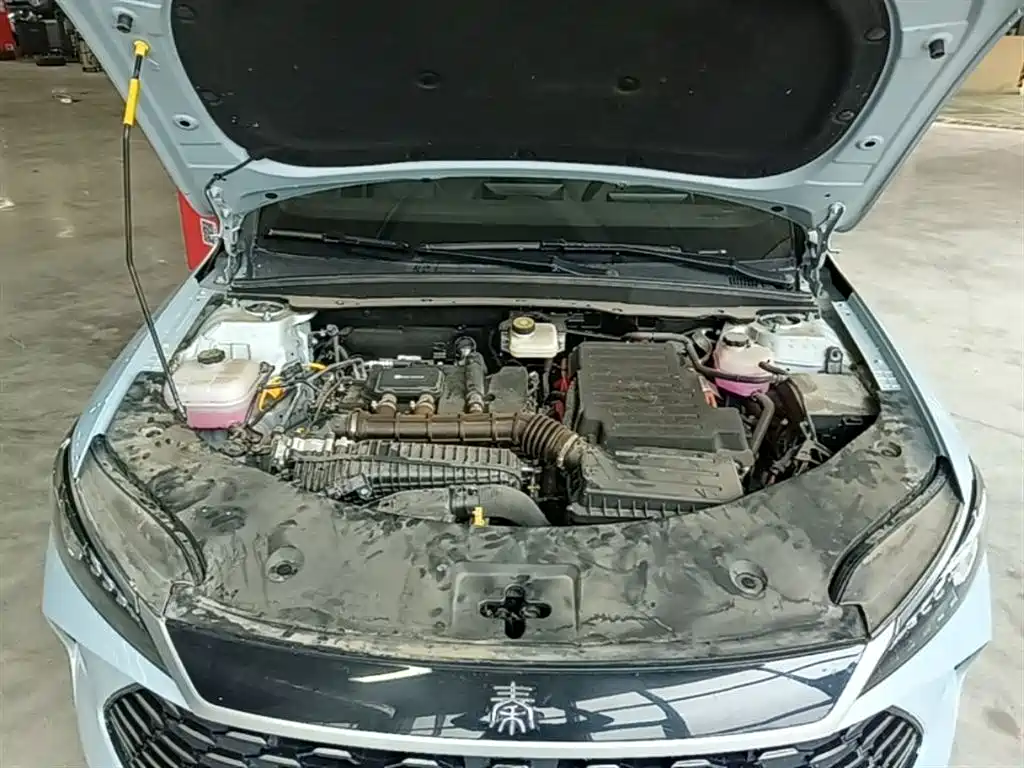 BYD Qin PLUS 2025 DM-i Smart Drive 55KM Leader фото 20