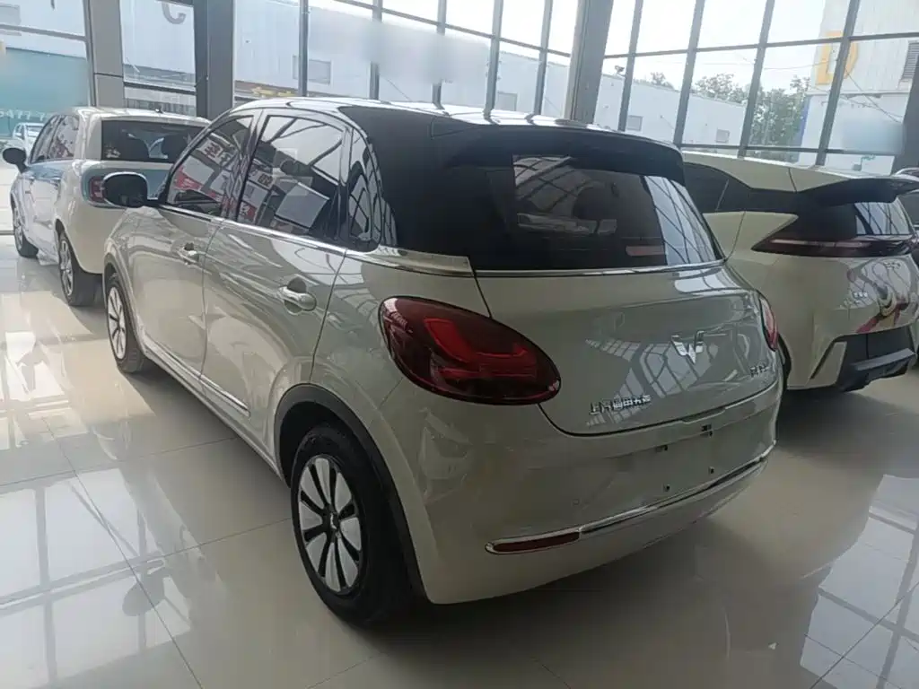 Wuling Motors Wuling Bingo 2023 2023 333km Joyful Version