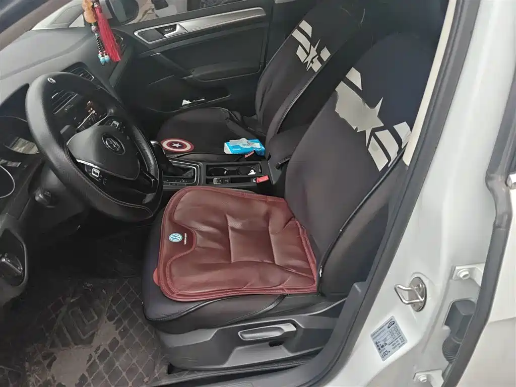 Volkswagen Golf 2019 200TSI DSG Comfort Progressive China VI фото 8