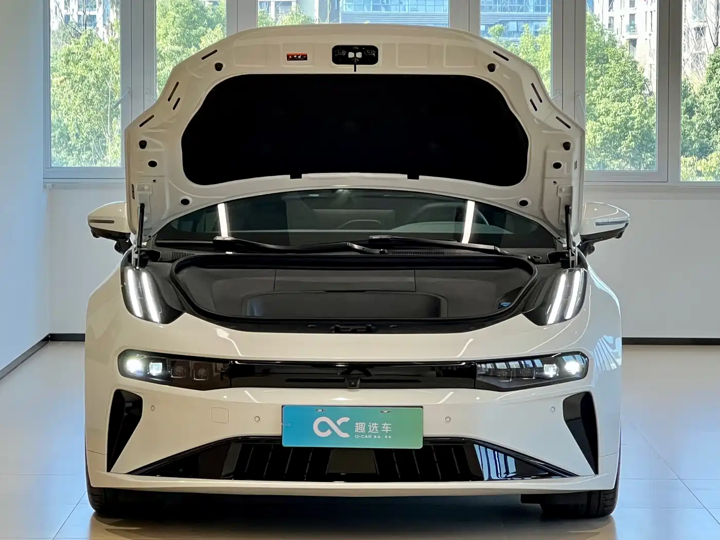 ZEEKR EXTREME KRYPTON 001