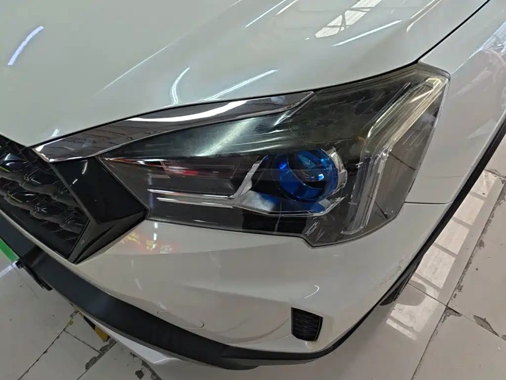 Venucia T60 2019 2020 Model 1.6L CVT Zhixing Edition China VI