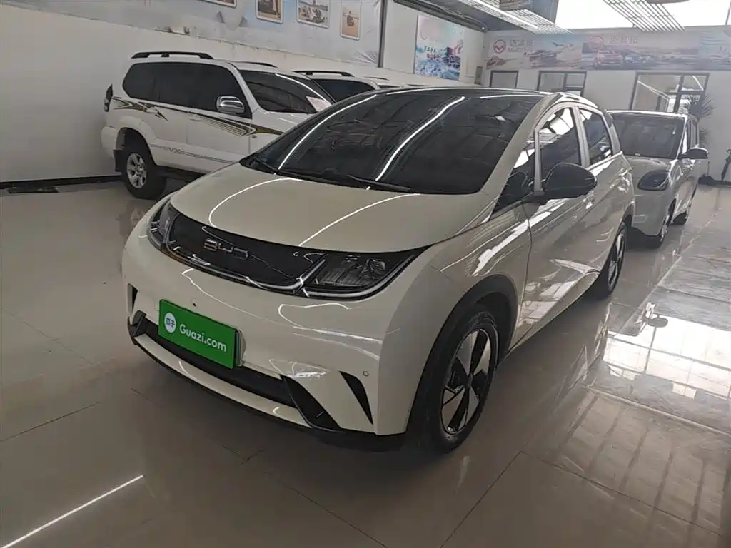 BYD Dolphin 2023 420km Fashion Edition
