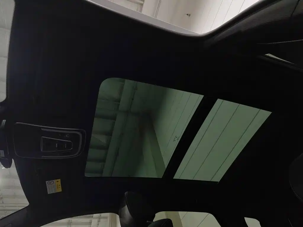 Denza X 2020 2020 PHEV Sport Edition