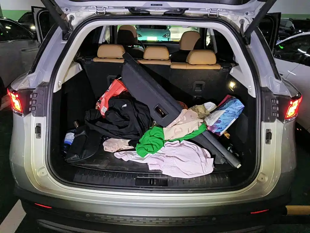 صورة 5 - BAIC Beijing X7