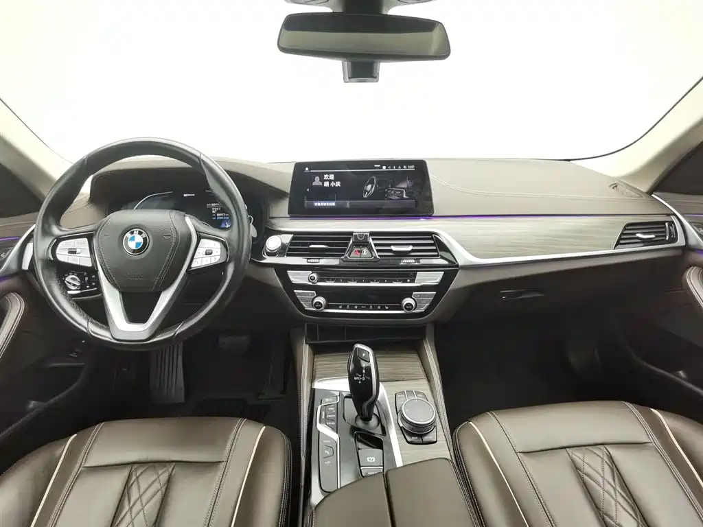 BMW 5 SERIES NEW ENERGY