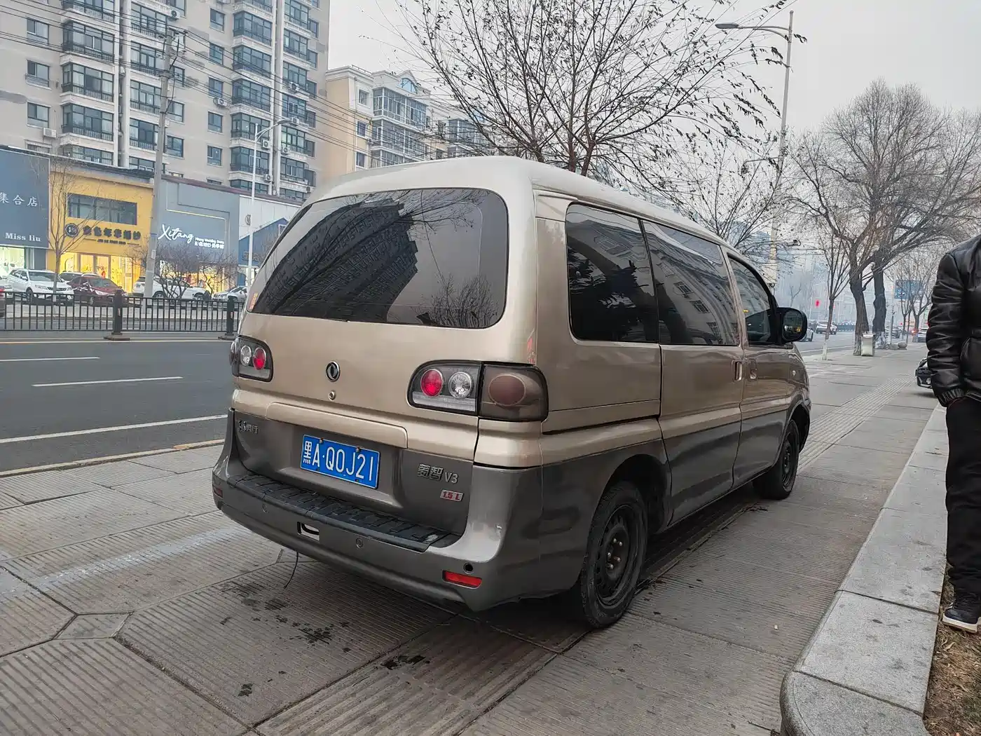 Фото 6 - Dongfeng Fengxing Lingzhi