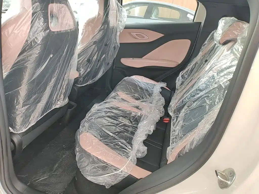 BYD Seagull 2026 2025 Smart Drive Edition 305km Vitality Version