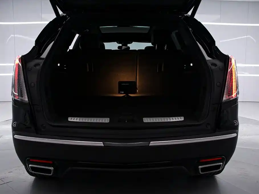 Cadillac XT5 2024 2.0T AWD Luxury (Hummingbird Edition) фото 15