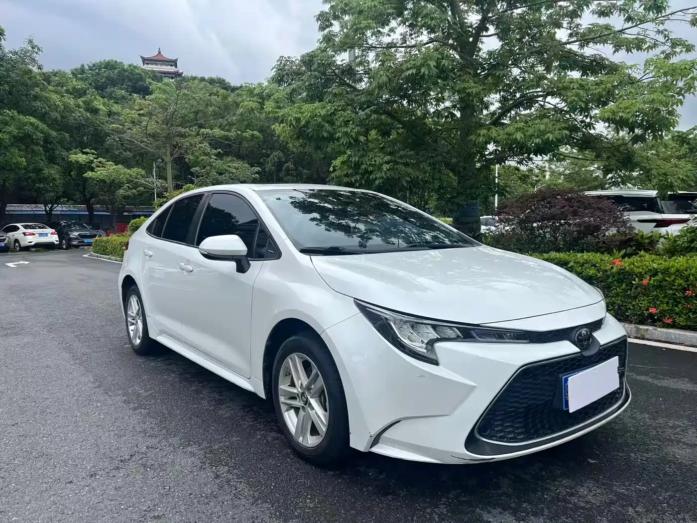 Toyota Levin 2019 185T CVT Luxury Edition China V