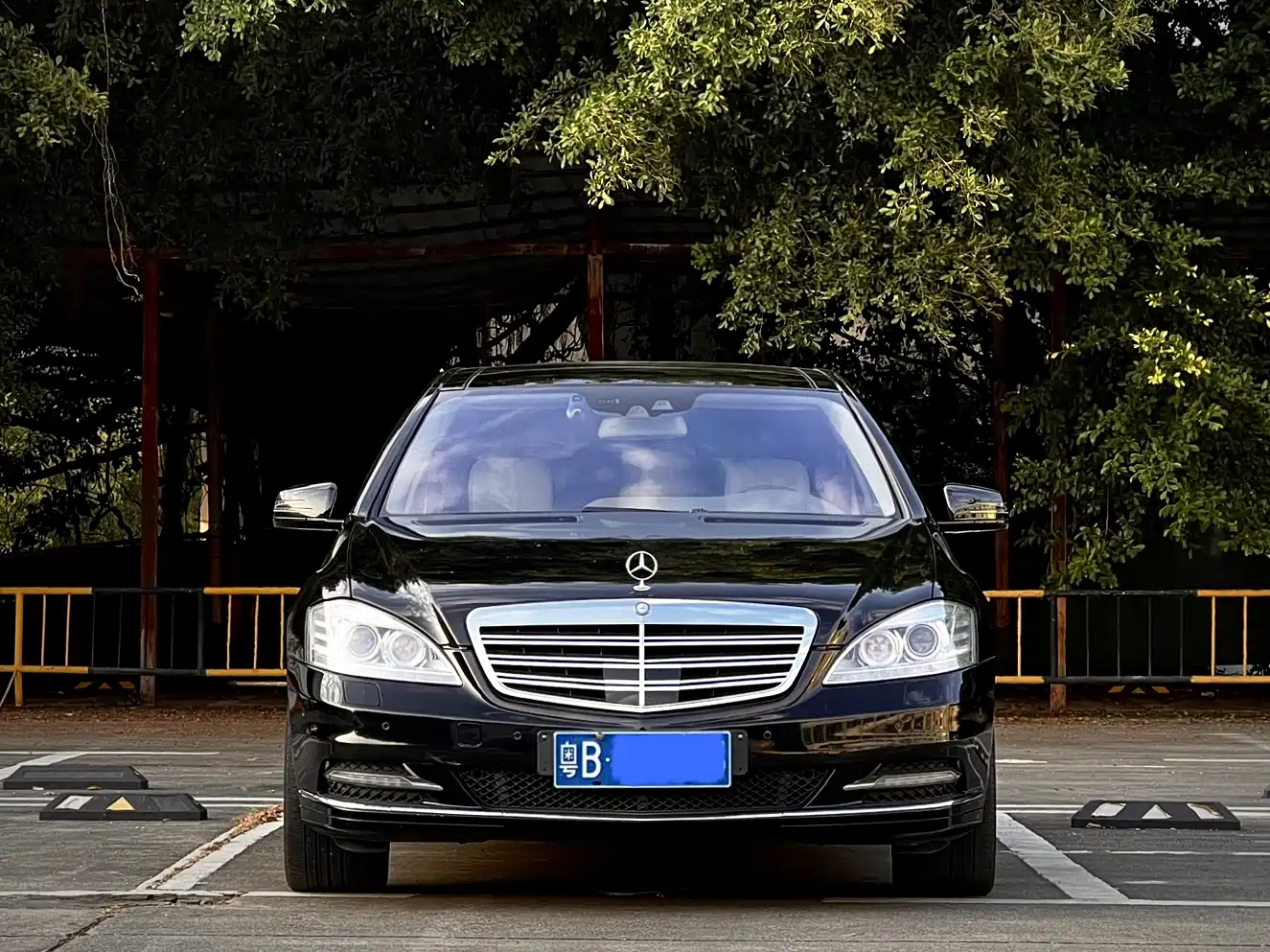 Mercedes-Benz S-Class 2010 S 600 L фото 2
