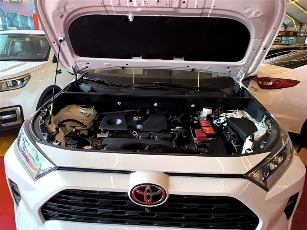 Toyota RAV4 Rongfang 2020 2.0L CVT 2WD Trend Edition фото 20
