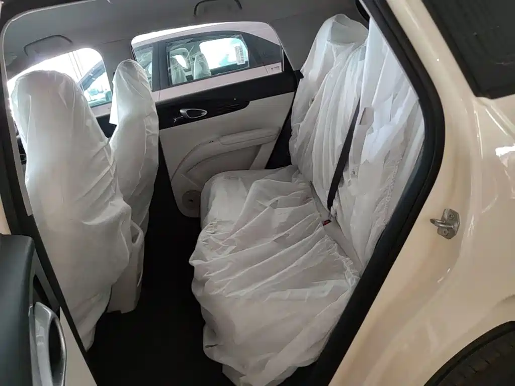 Geely Galaxy Starry Wish 2026 2026 Edition 310km Youth Version