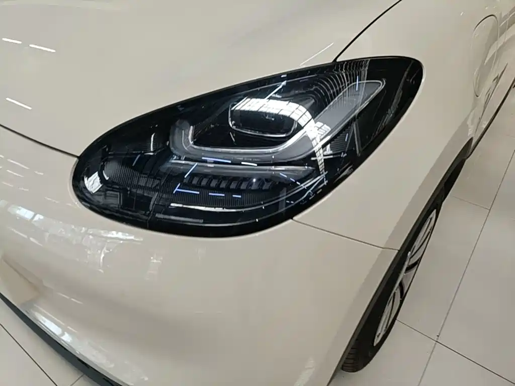 Wuling Motors Wuling Bingo 2026 2025 Model 333km Joy Edition