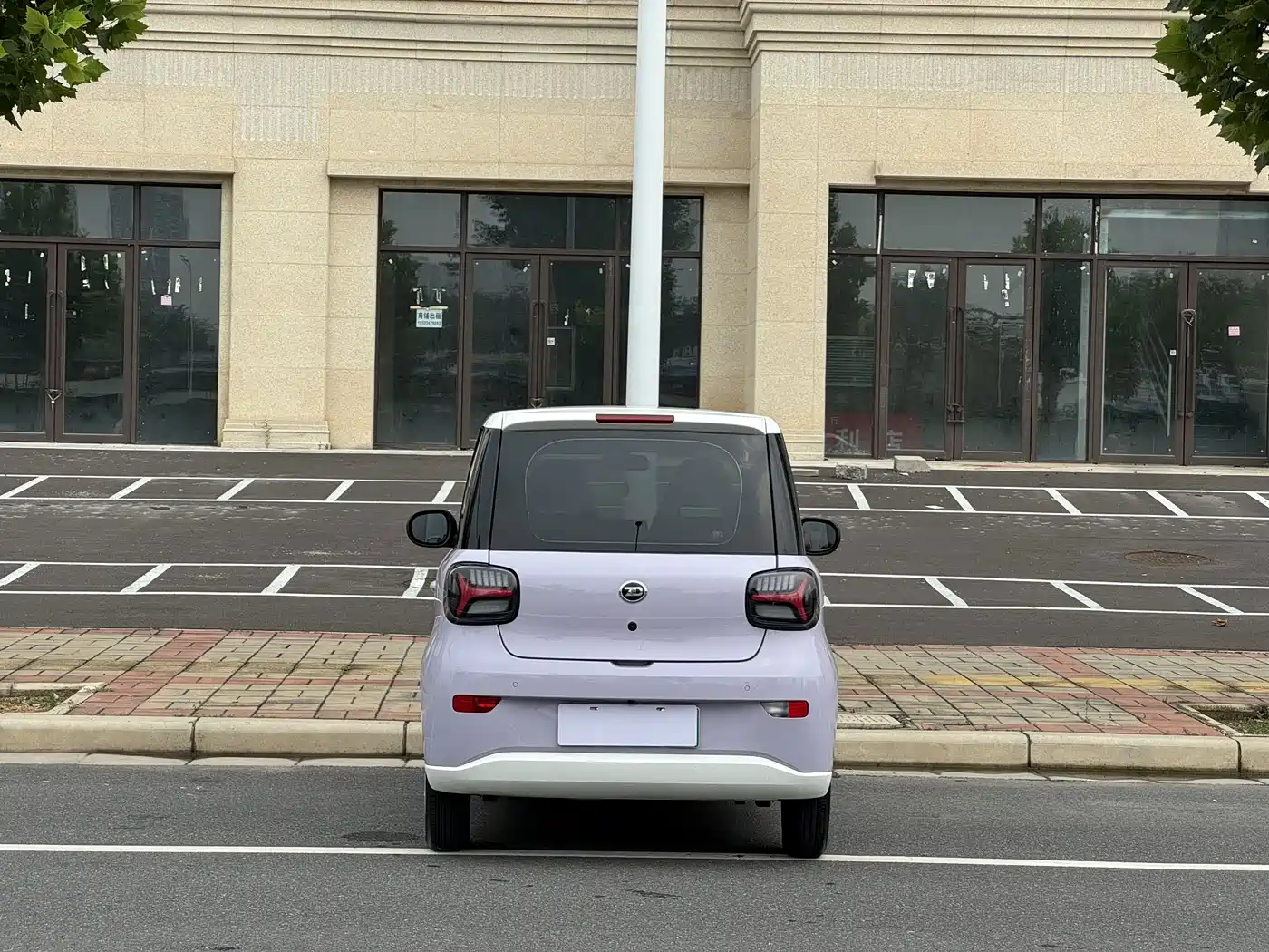 Zhido Rainbow 2025 2025 Pro 205km Sunshine Edition