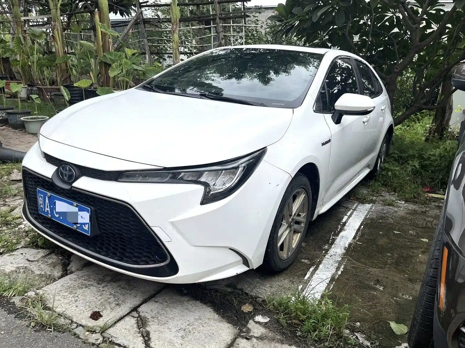 Photo 1 - Toyota Levin