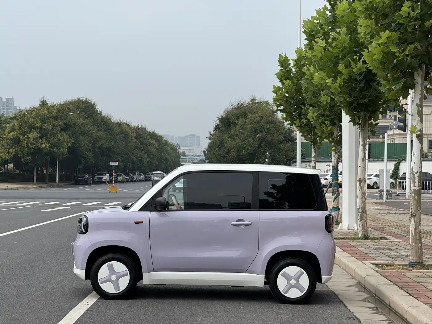2025 Zhido Rainbow