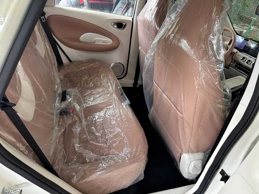 Wuling Motors Wuling Bingo 2026 2025 Model 333km Joy Edition