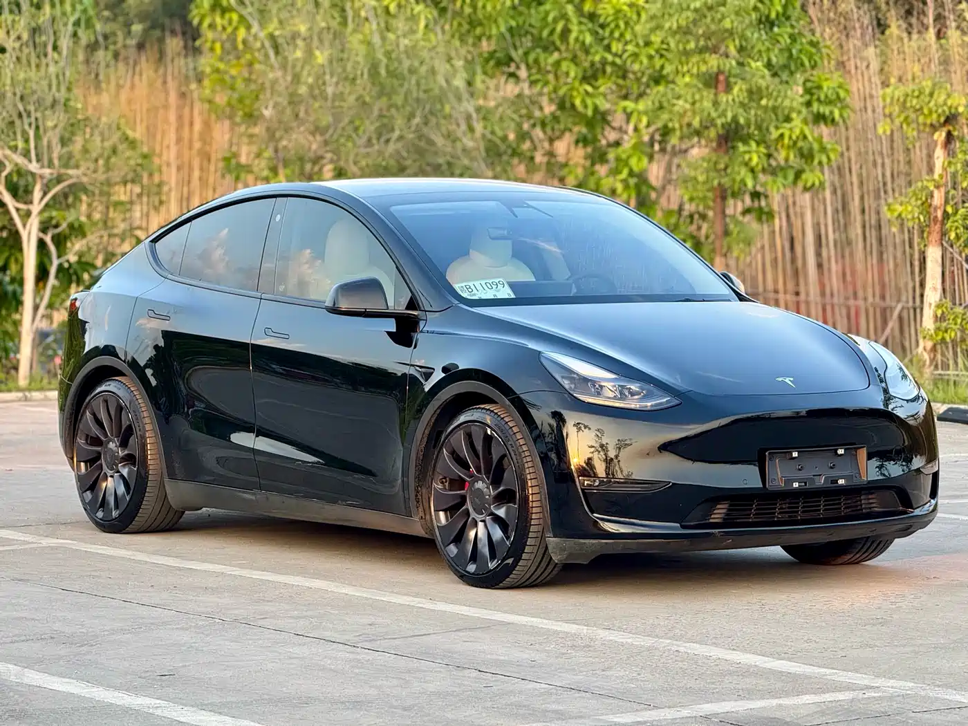 TESLA MODEL Y