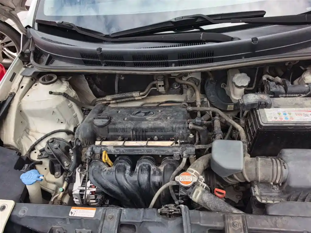 HYUNDAI RENA
