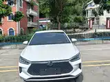 Фото 2 - BYD e2