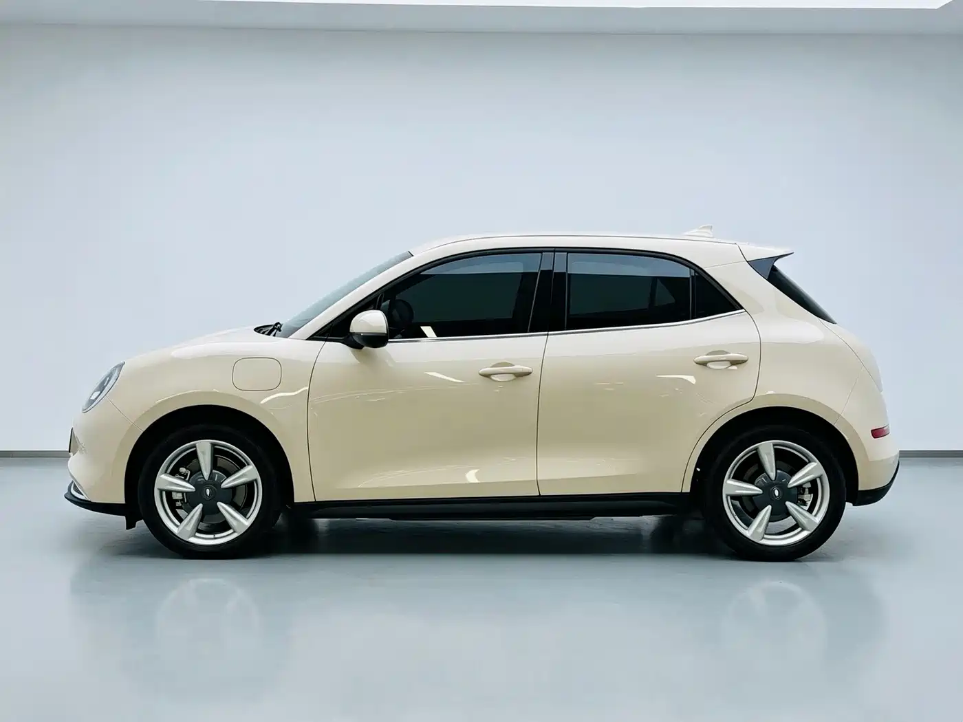 Ora Good Cat 2023 2023 401km Standard Range Luxury LFP
