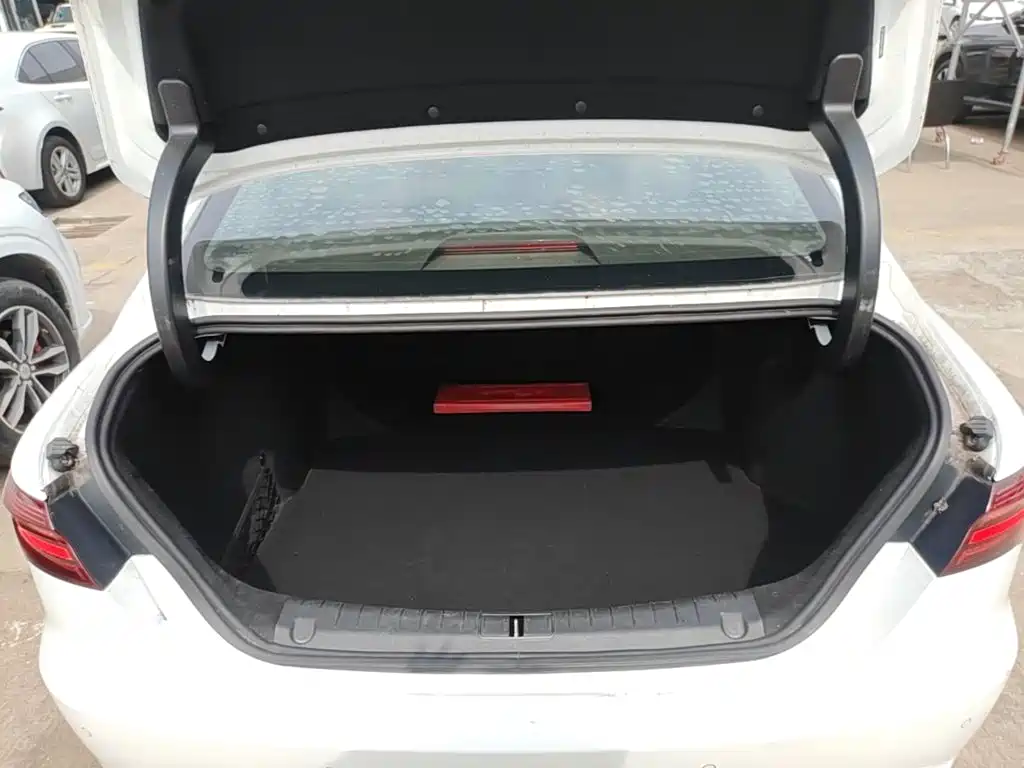 Geely Binrui 2019 2019 200T DCT Binshi Edition
