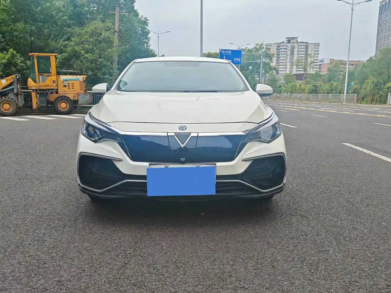 Venucia D60EV 2020 2020 Standard Range Comfort Edition