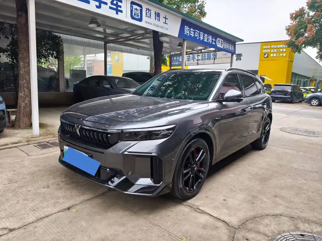 Voyah Free 2025 2025 318 318km RWD Touring Edition
