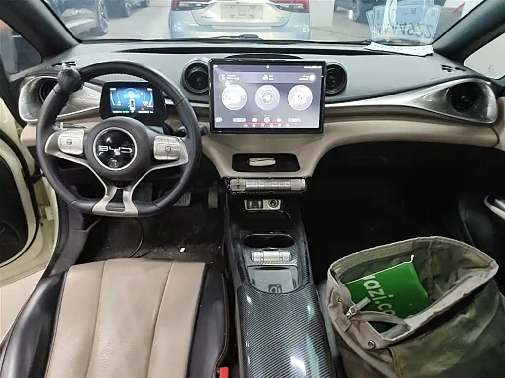 BYD Dolphin 2023 420km Fashion Edition фото 10