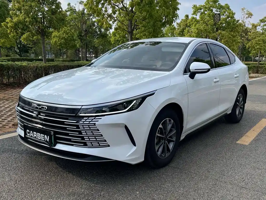 Фото 1 - BYD Destroyer 05