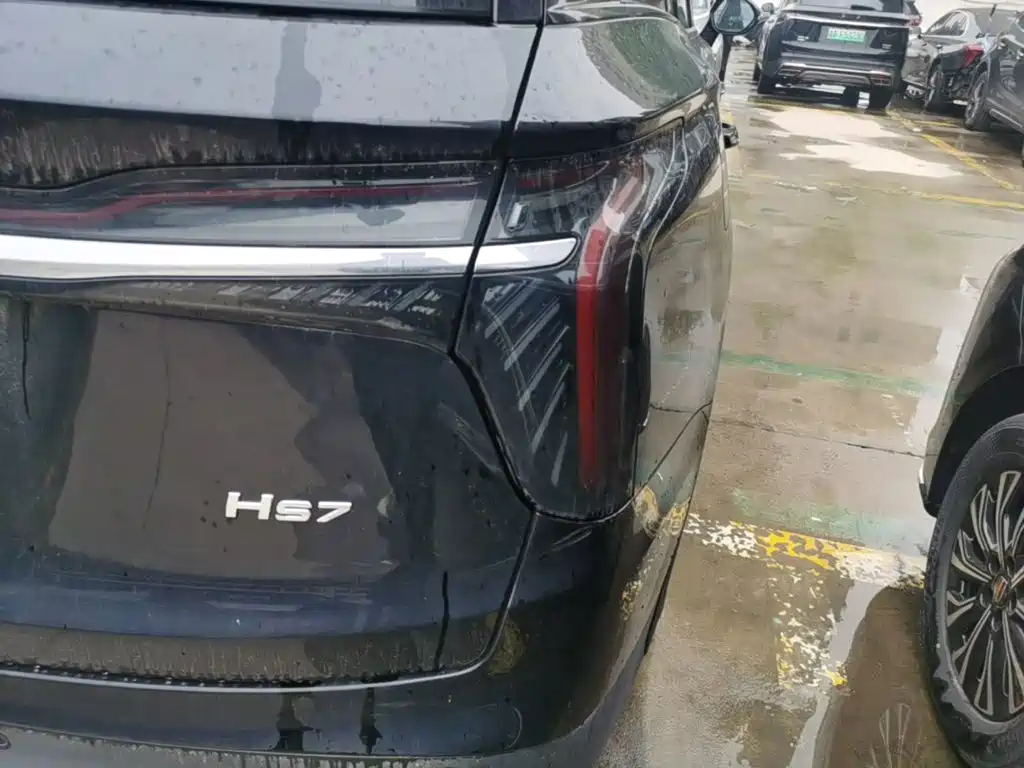 صورة 8 - Hongqi HS7 PHEV