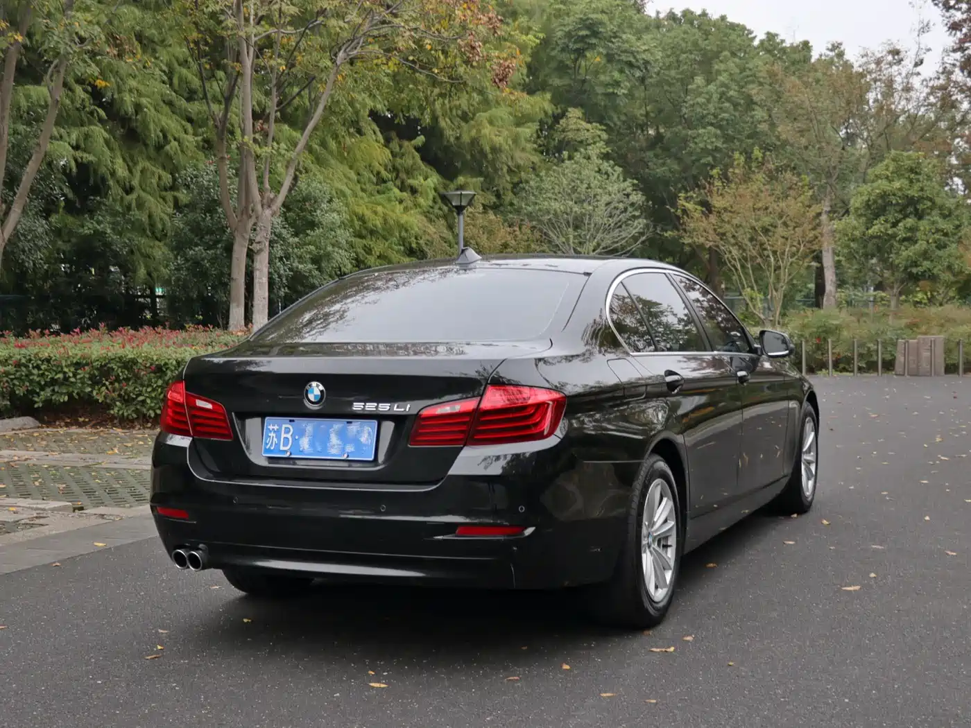 BMW 5 Series 2014 520Li Elegance фото 3