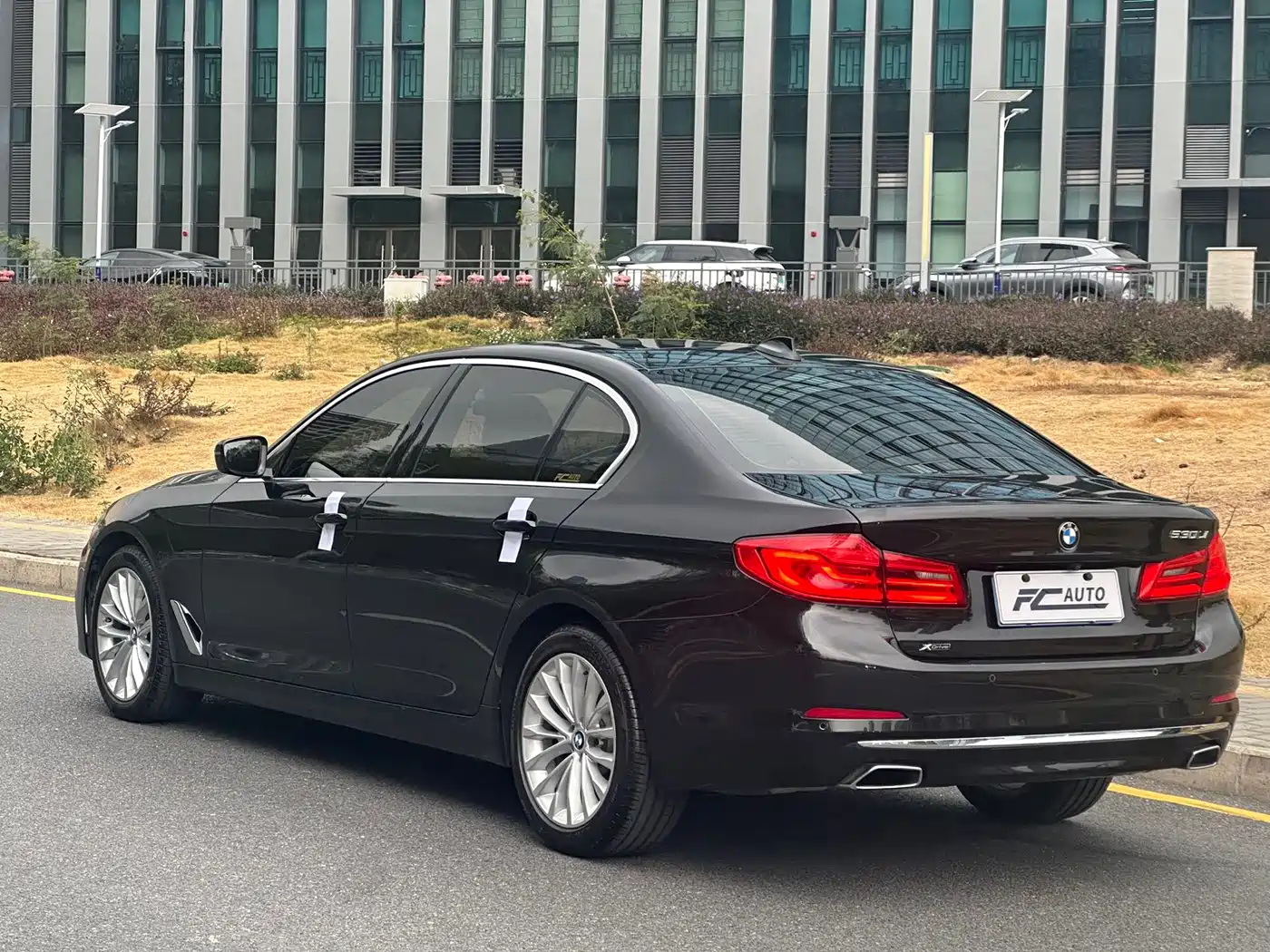 BMW 5 Series 2020 530Li Leading Luxury Package фото 6