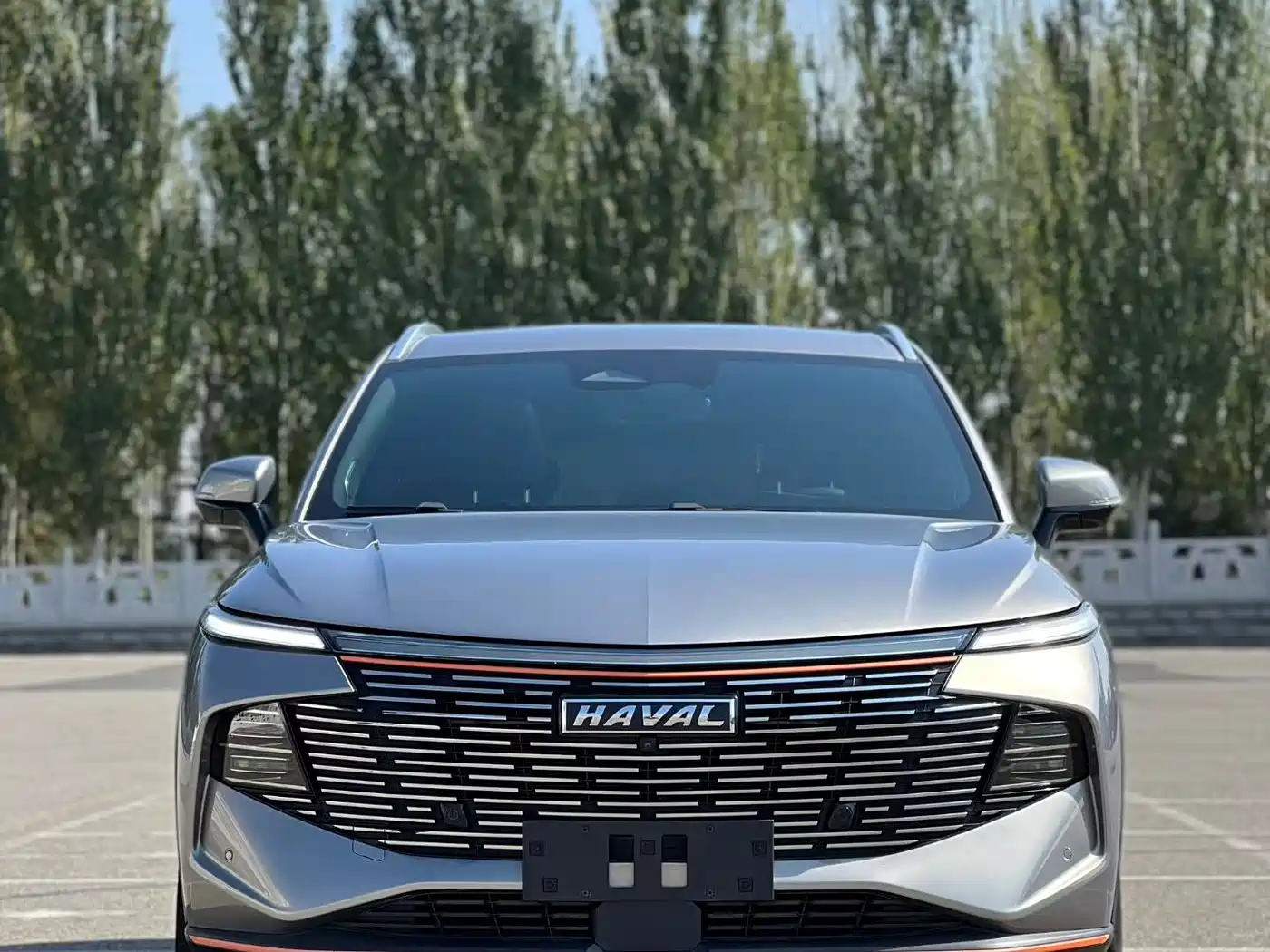 Haval Shenshou 2022 2022 2.0T Smart Premium Edition