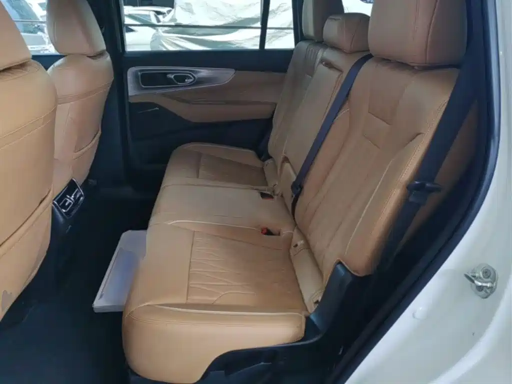 GAC Trumpchi Trumpchi GS8 2025 Pilot Series 2.0TGDI 2WD Luxury Edition 5-seater фото 17