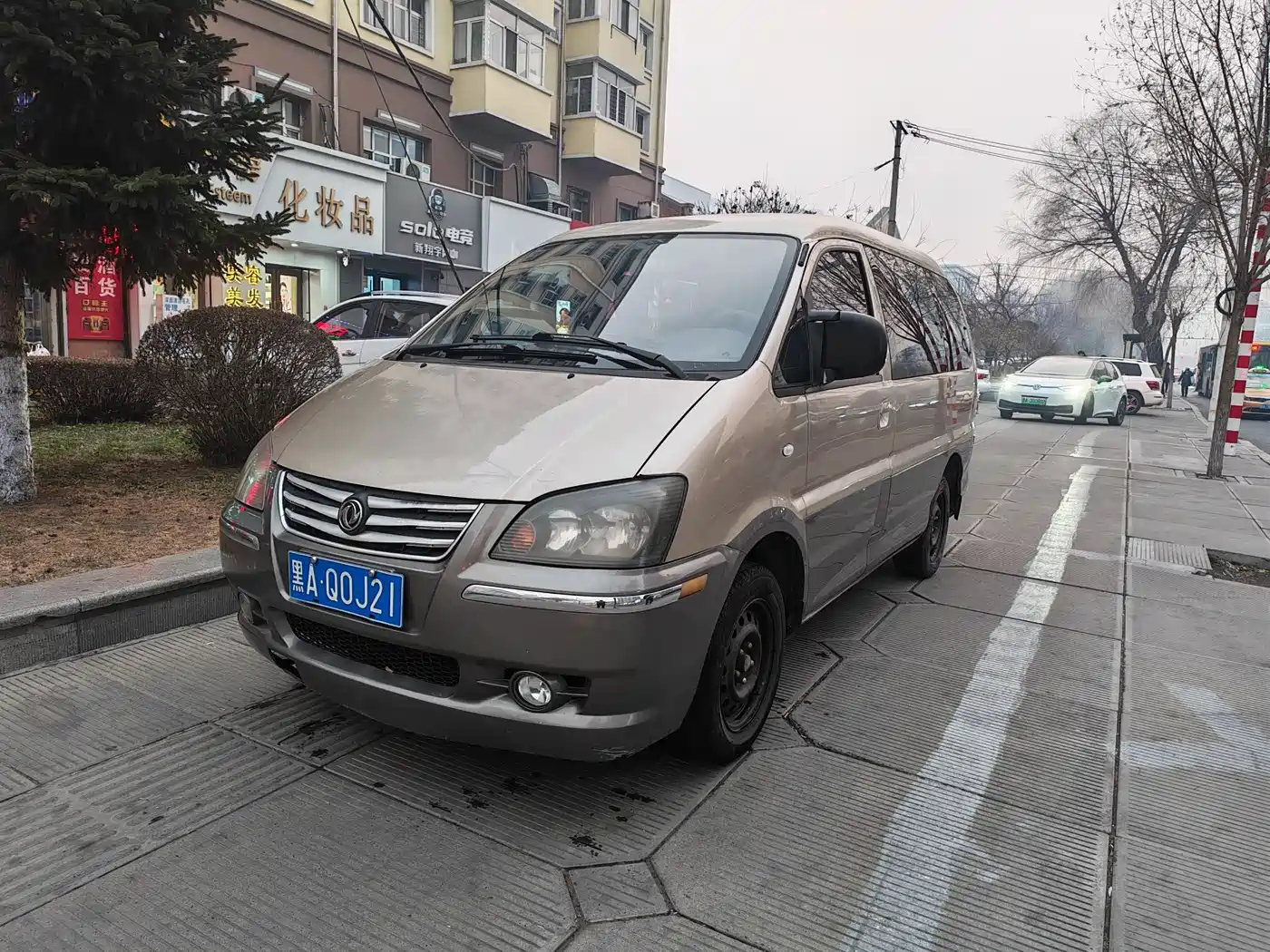 Фото 1 - Dongfeng Fengxing Lingzhi
