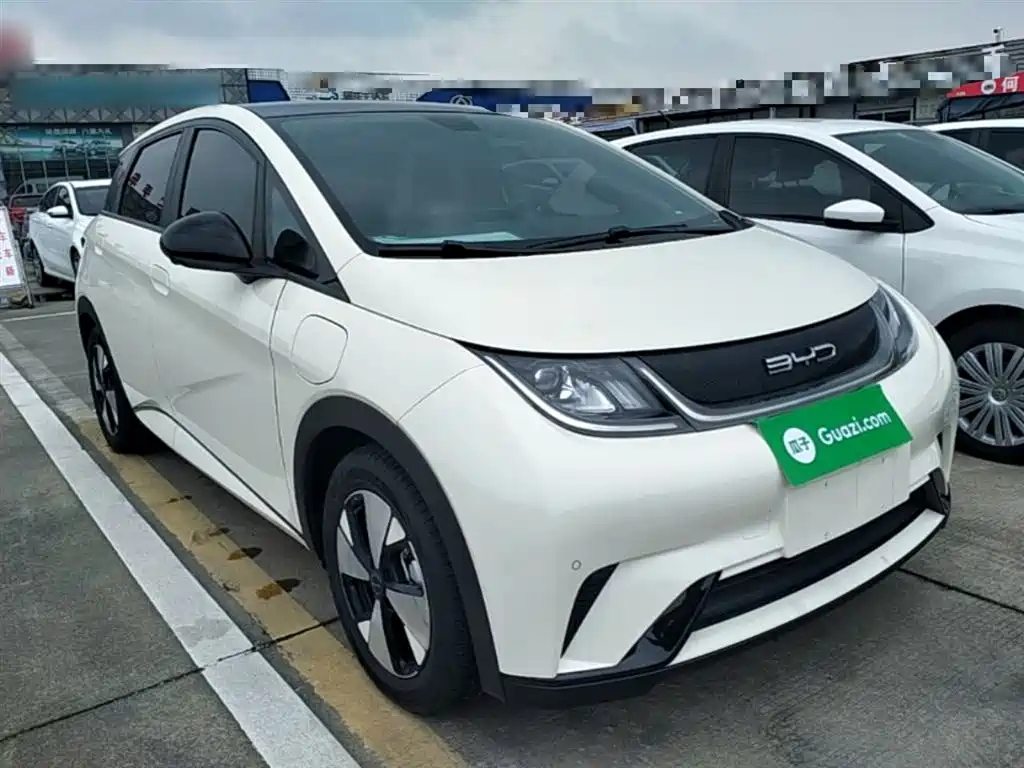 BYD Dolphin 2023 420km Fashion Edition фото 22