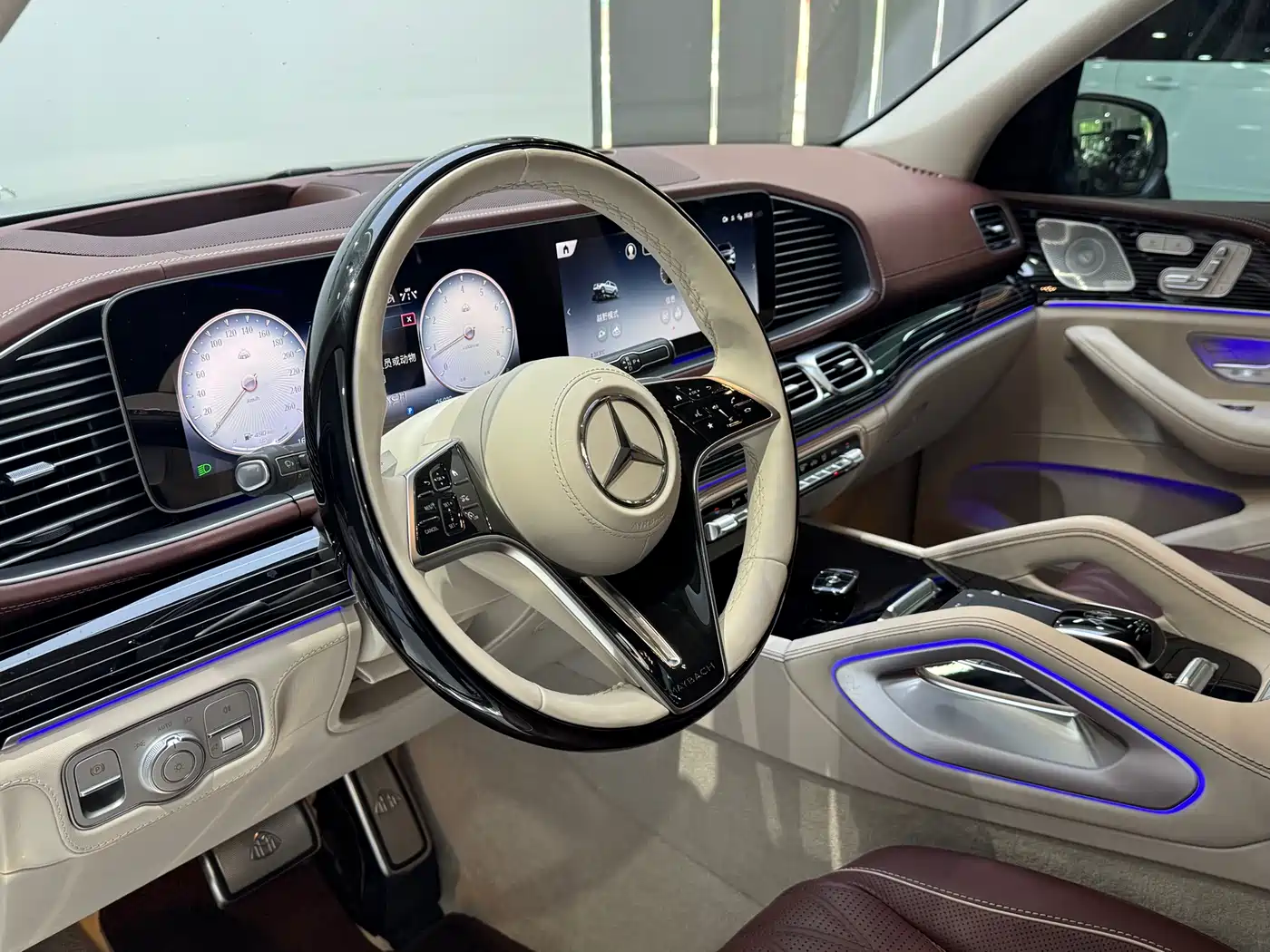 Mercedes-Benz Maybach GLS 2024 GLS 480 4MATIC фото 8