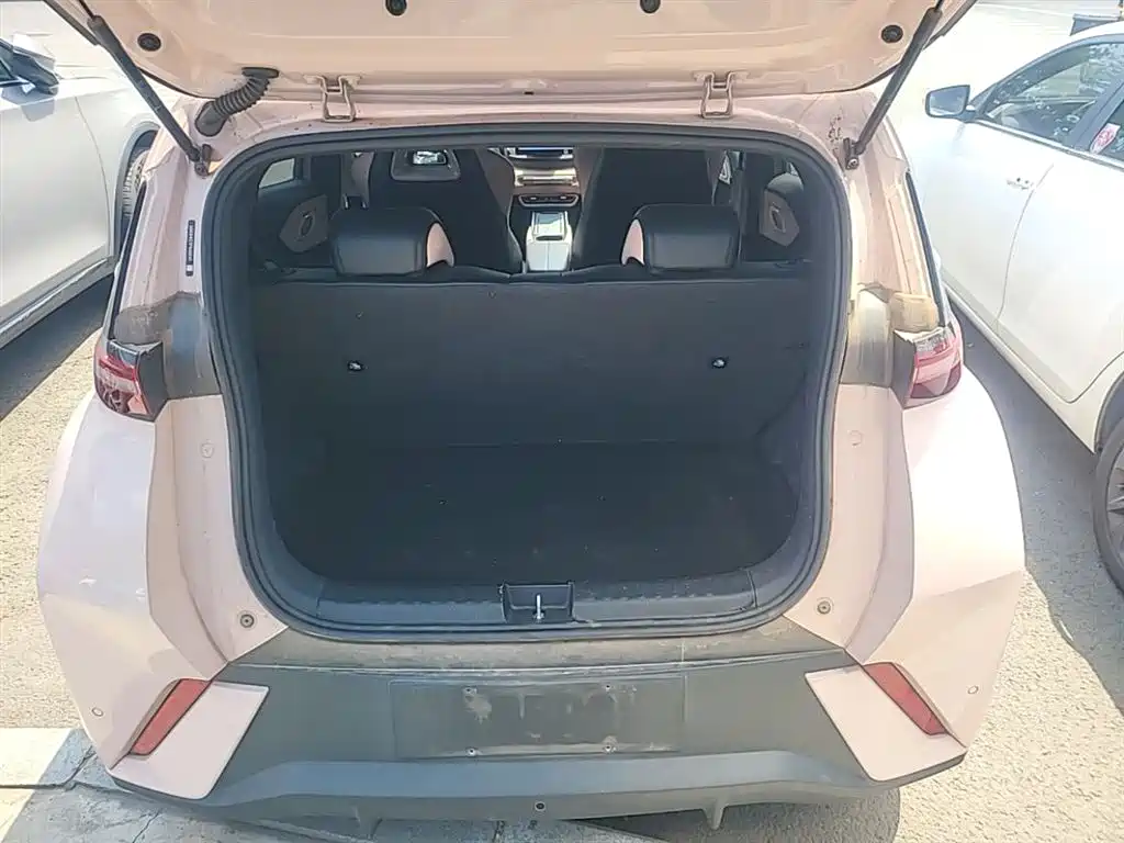 BYD Seagull 2023 Freedom Edition фото 19