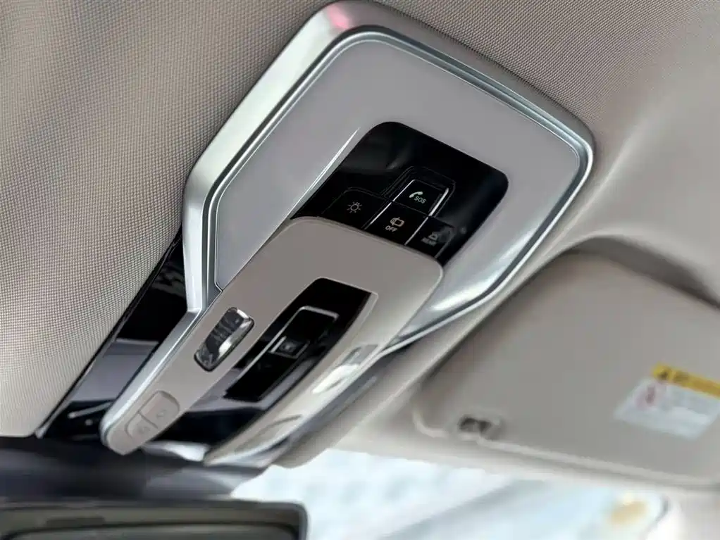 Hongqi HQ9 PHEV 2024 Model 2.0T AWD Luxury Edition фото 21