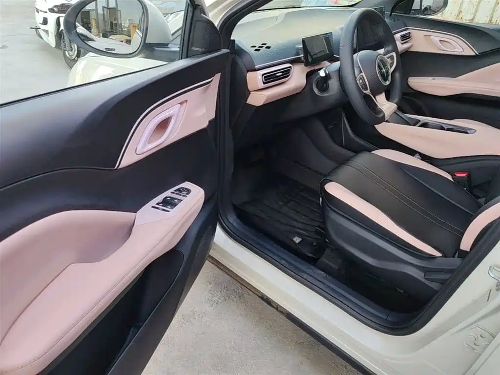 BYD Seagull 2025 Smart Drive Edition 305km Vitality Version фото 16