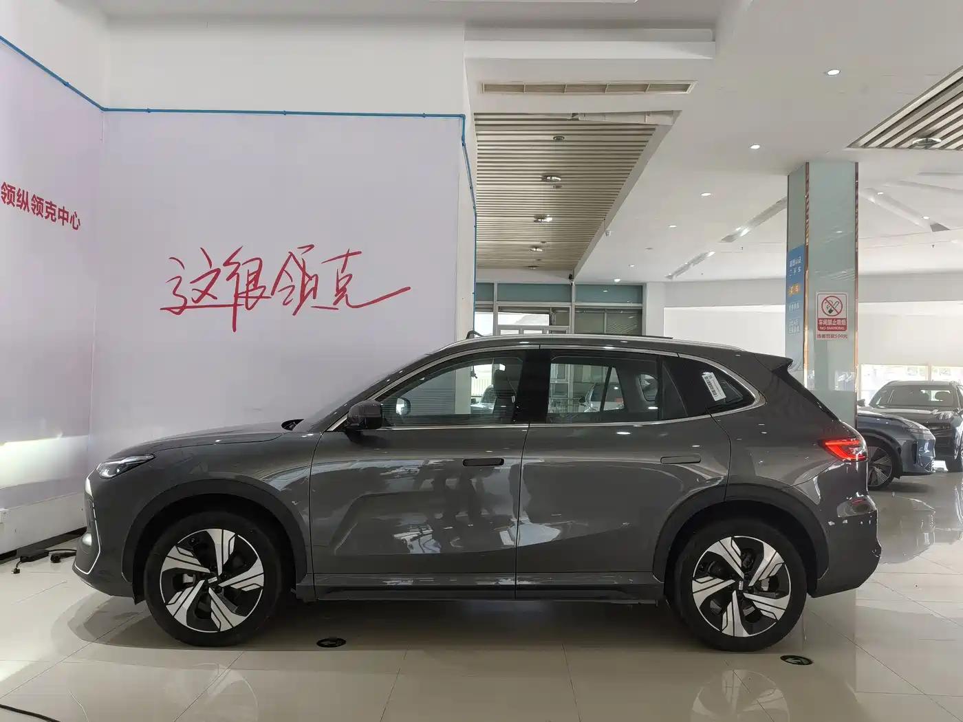 Geely Galaxy Galaxy E5 2024 530km Starship Edition фото 14