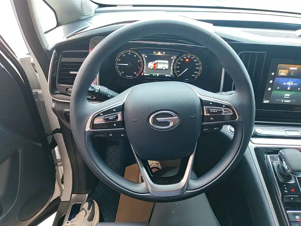 GAC Trumpchi Trumpchi M8 2024 Leadershow Series 390T Luxury Edition фото 11